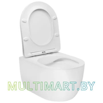 Унитаз AV Engineering Grand AVWHR211 (белый) картинка 2